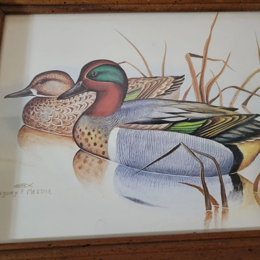 Vintage 70s Gregory E. Meisser Mallard Watercolor print
